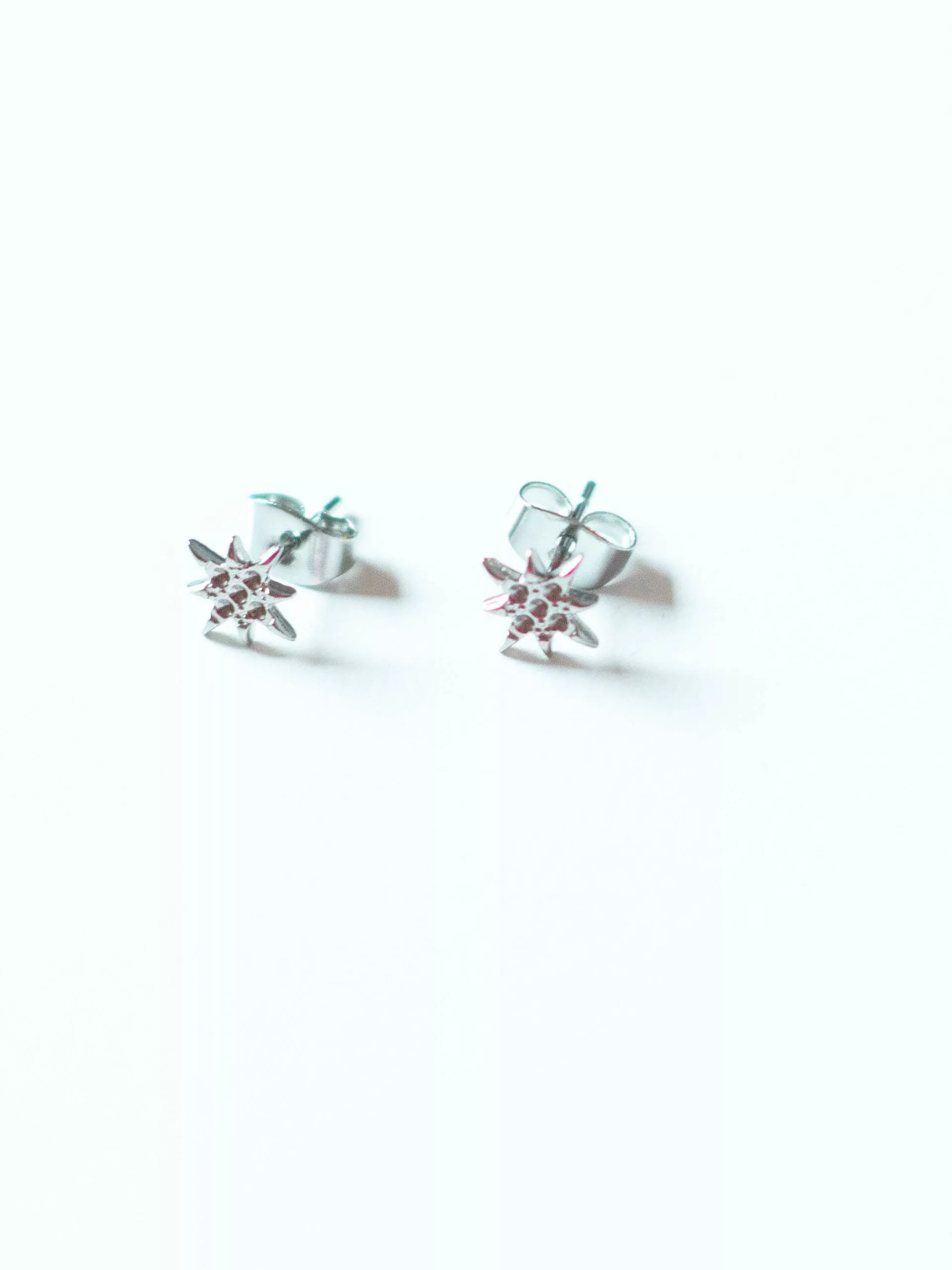 Oorbellen Shining Star zilver